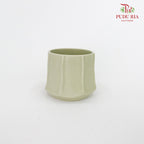 TY-8847 Asst Pot