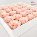 25 Bloom Soap Flower Awalking Tropical Peach - FBA089#3