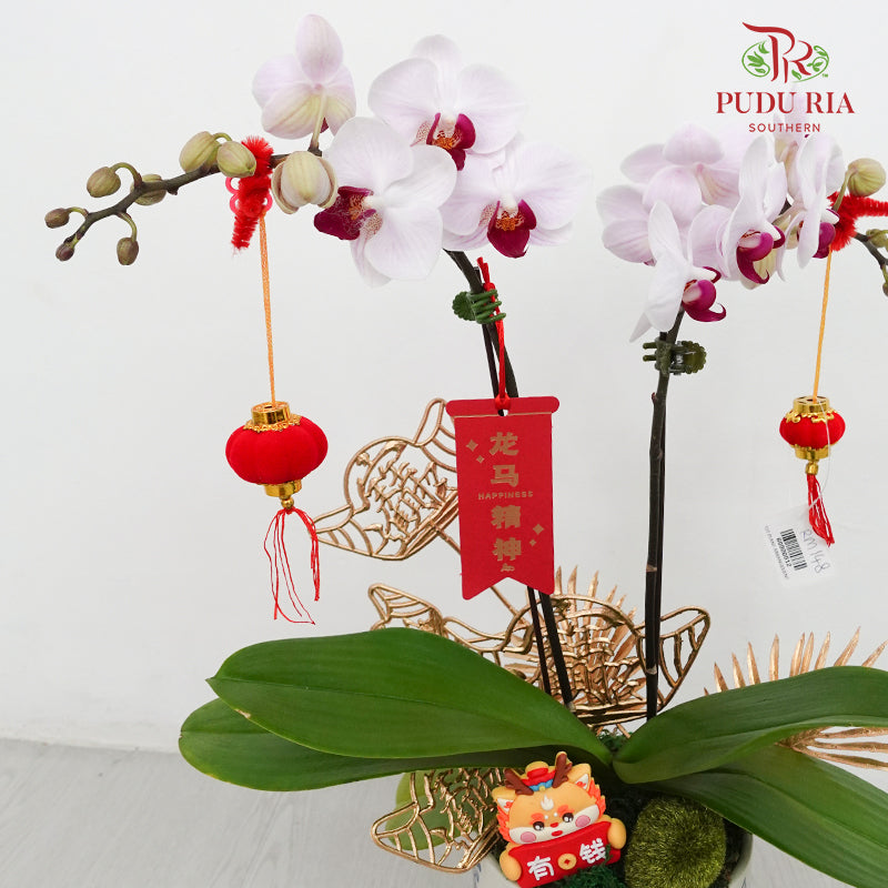 CNY Potted Plant Arrangement 2024#70