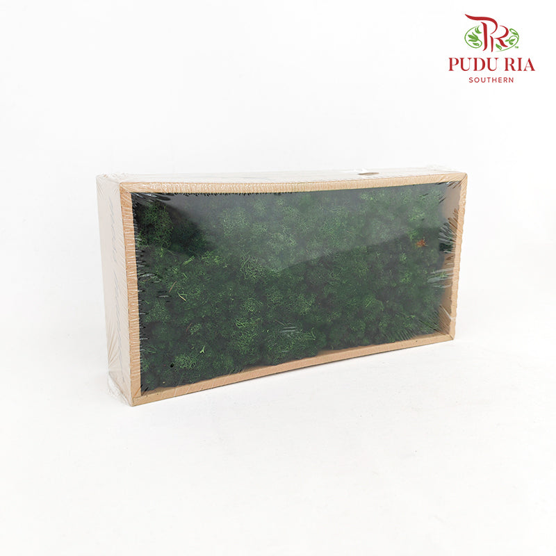 Preservative Reindeer Moss - Dark Green