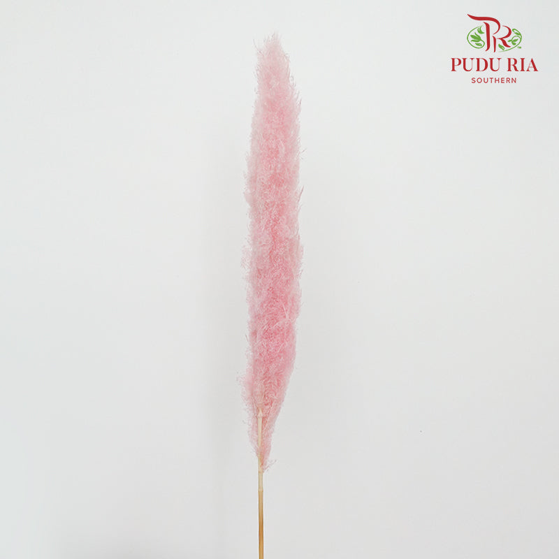 Dry Pampas Natural Pink - Pudu Ria Florist Southern