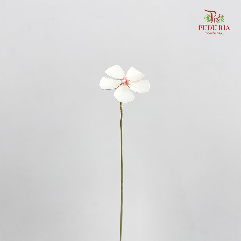 Dry Violet - White Center Pink