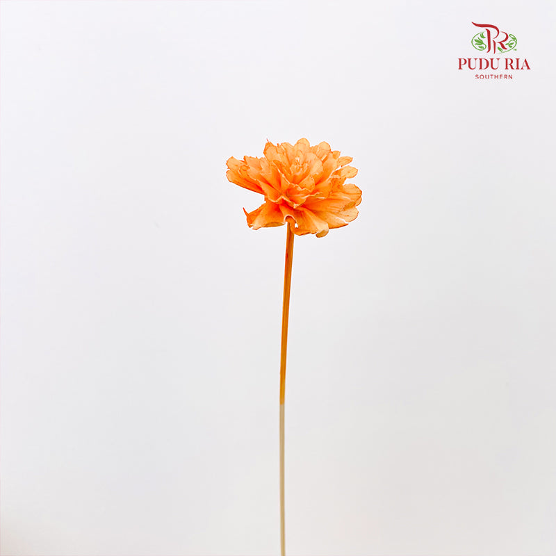 Dry Sola Marigold Light Orange - 10 Stems