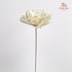 Dry Peony Handmade White - Per Stem