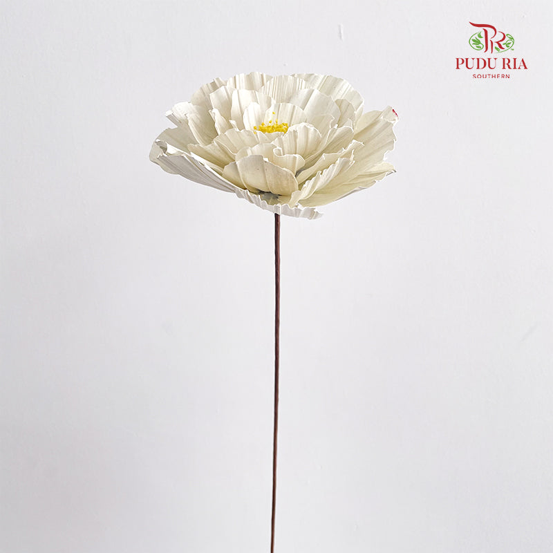 Dry Peony Handmade White - Per Stem