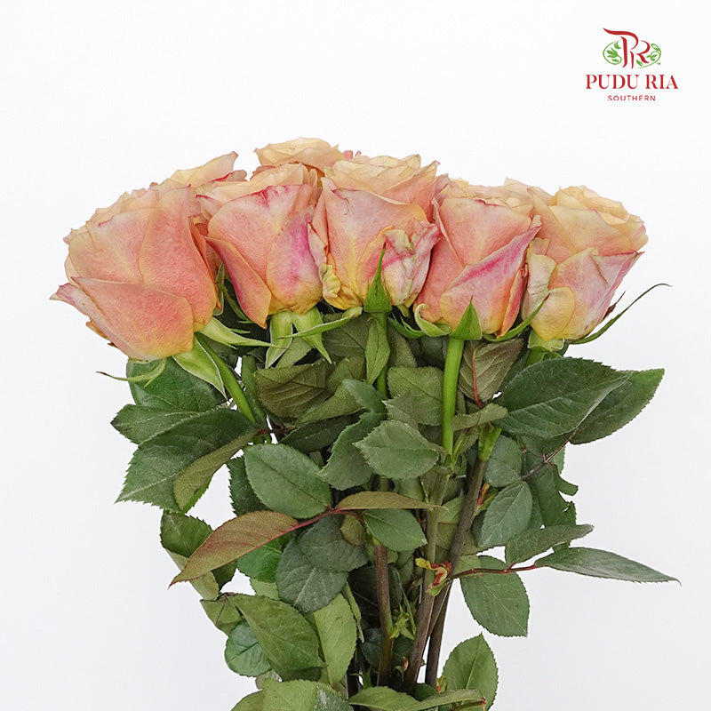 Rose Symbol - (8-10 Stems)