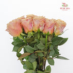 Rose Symbol - (8-10 Stems)