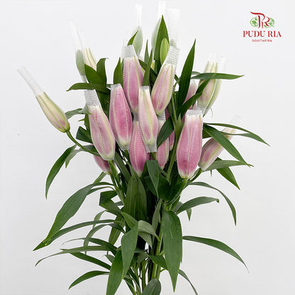 Rose Lily Pink (5 Stems)