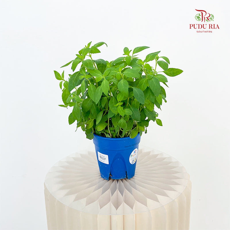 Peppermint P140
