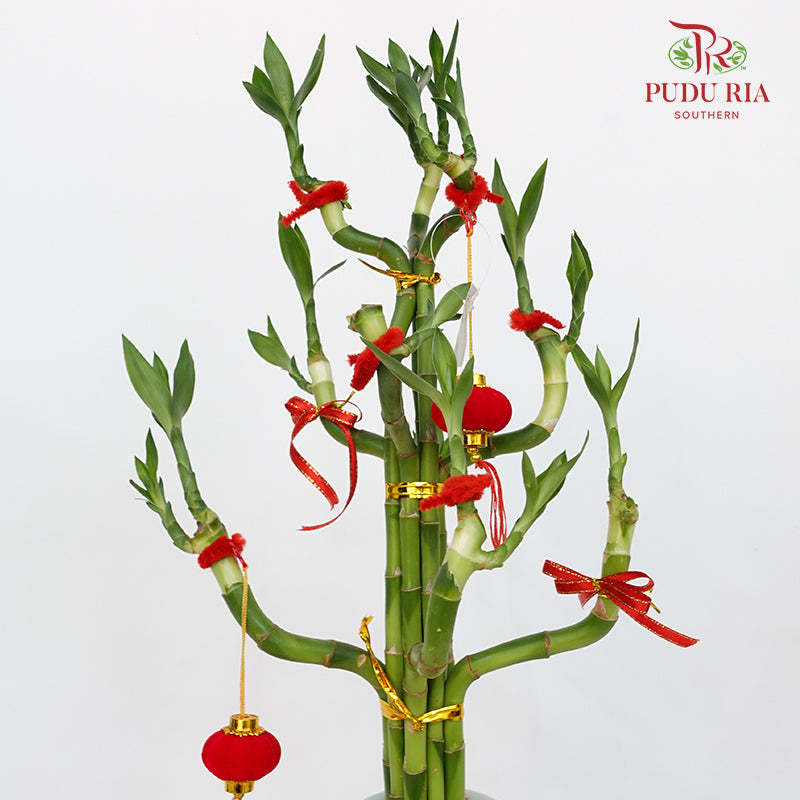 CNY Arrangement 2024#26