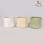 TY-8847 Asst Pot