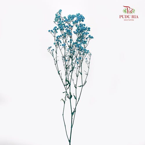 Preservative Baby Breath - Blue