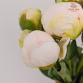 Peony Angel In White 白衣天使芍药 - (5 Stems)