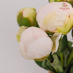 Peony Angel In White 白衣天使芍药 - (5 Stems)