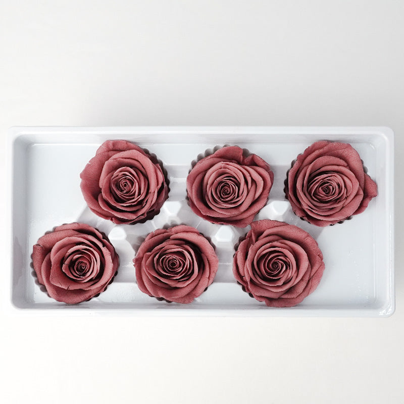 6 Bloom Preservative Rose - Rusty Red - Pudu Ria Florist Southern