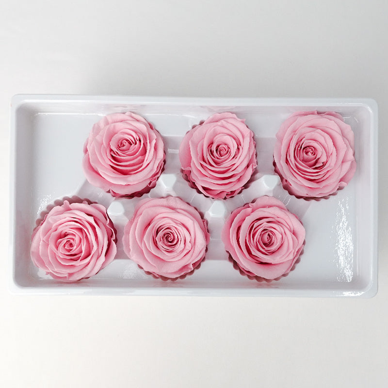 6 Bloom Preservative Rose - Pink - Pudu Ria Florist Southern