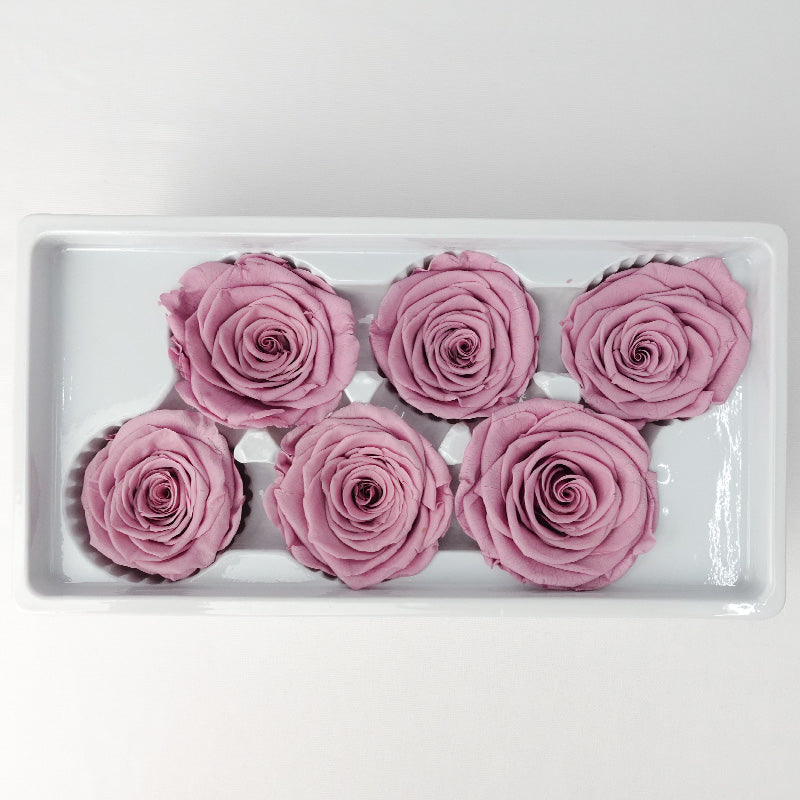 6 Bloom Preservative Rose - Light Purple - Pudu Ria Florist Southern