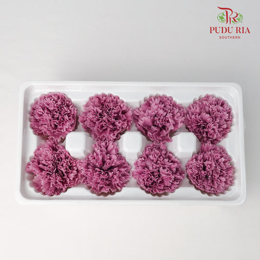 8 Bloom Carnation - Purple - Pudu Ria Florist Southern