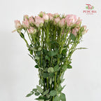 Rose Spray Light Pink - (8-10 Stems)