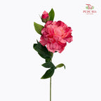 CNY Artificial Peony Spray 63cm Pink - (5 Stems)