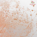 Preservative Baby Breath - Peach - Pudu Ria Florist Southern