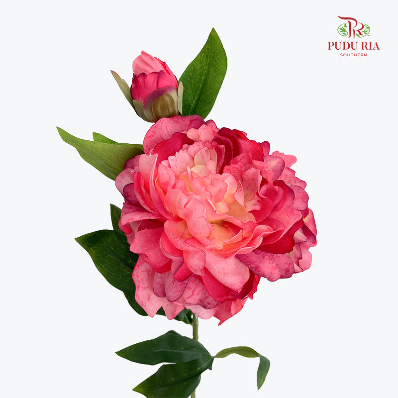 CNY Artificial Peony Spray 63cm Pink - (5 Stems)