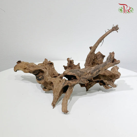 CORAL WOOD 珊瑚木 1KG