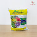 BS Succulent Mix Soil 7L