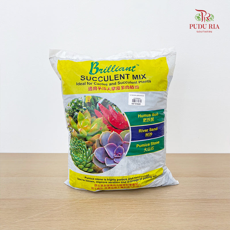 BS Succulent Mix Soil 7L