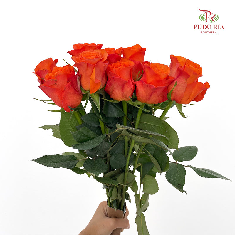Rose Orange Wave - (8-10 Stems)