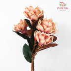 CNY Artificial Magnolia Spray 79cm - Two Tone (2 Stems)