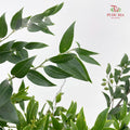 Evergreen Leaf 万年青 - (Per Bundle)