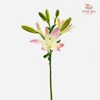 Lily Pink 百合 - (5 Stems)