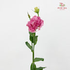 Eustoma Wave Pink - (12-15 Stems)