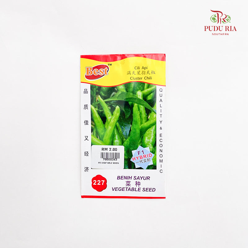 Vegetable Seeds