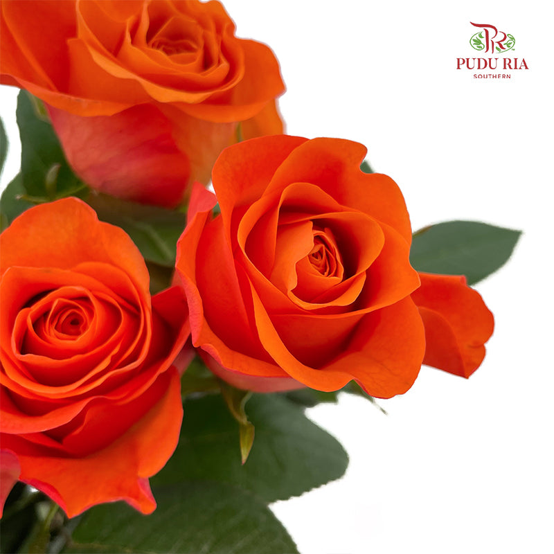 Rose Orange Wave - (8-10 Stems)