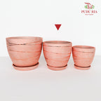 Yu-591 Rose Gold Pot W Tray