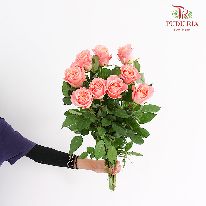Rose Miss Piggy - (8-10 Stems)
