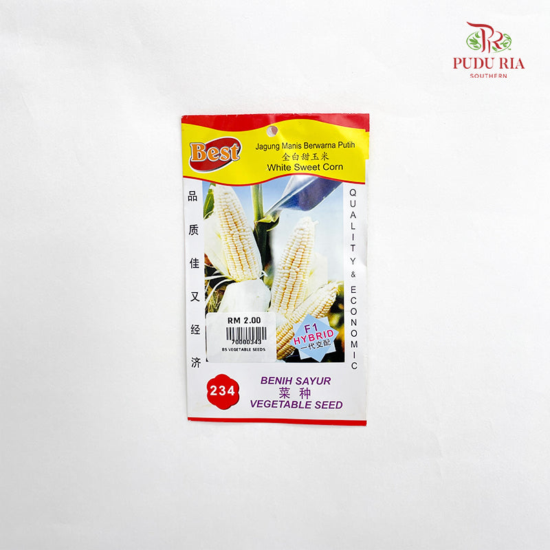 Vegetable Seeds