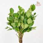 Salal Leaf - (Per Bundle)