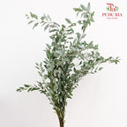 Spiraea Japonica Leaf 粉花绣线菊叶 - (Per Bundle)