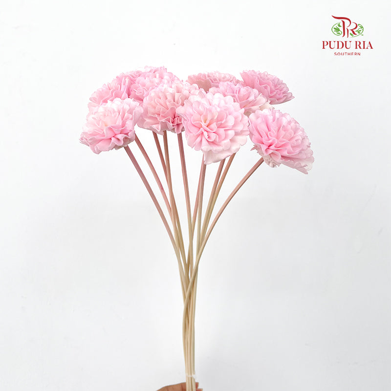 Dry Sola Marigold Soft Pink - 10 Stems