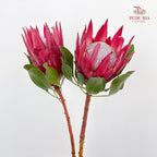 Protea Madiba 玛迪巴帝王花 - (2 Stem)