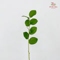 Salal Leaf - (Per Bundle)