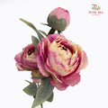 CNY Artificial Peony Spray 68cm Purple - (5 Stems)