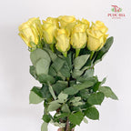 Rose Romantic Beach - (8-10 Stems)
