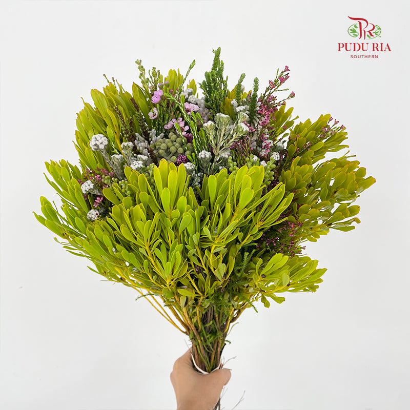 Safari Mix Cone / Cape Cone (6) - (Per Bundle)