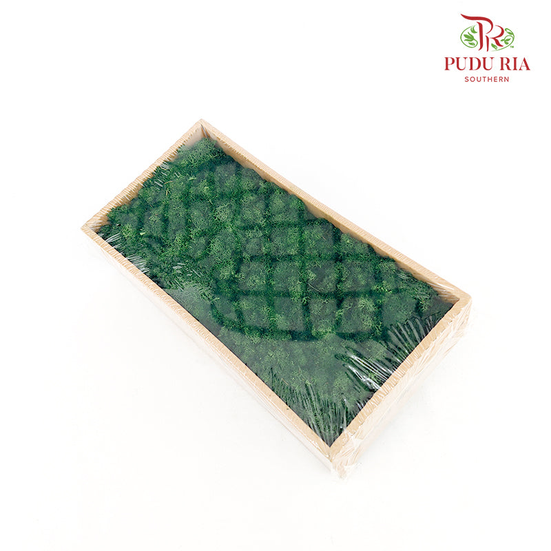 Preservative Reindeer Moss - Dark Green