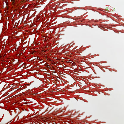 Cedar X mas Dyed Color Red - (Per Bundle)