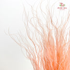 Dry Stipa Grass (Feather Grass) Peach